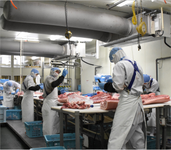 shipバックナンバー