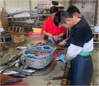 shipバックナンバー